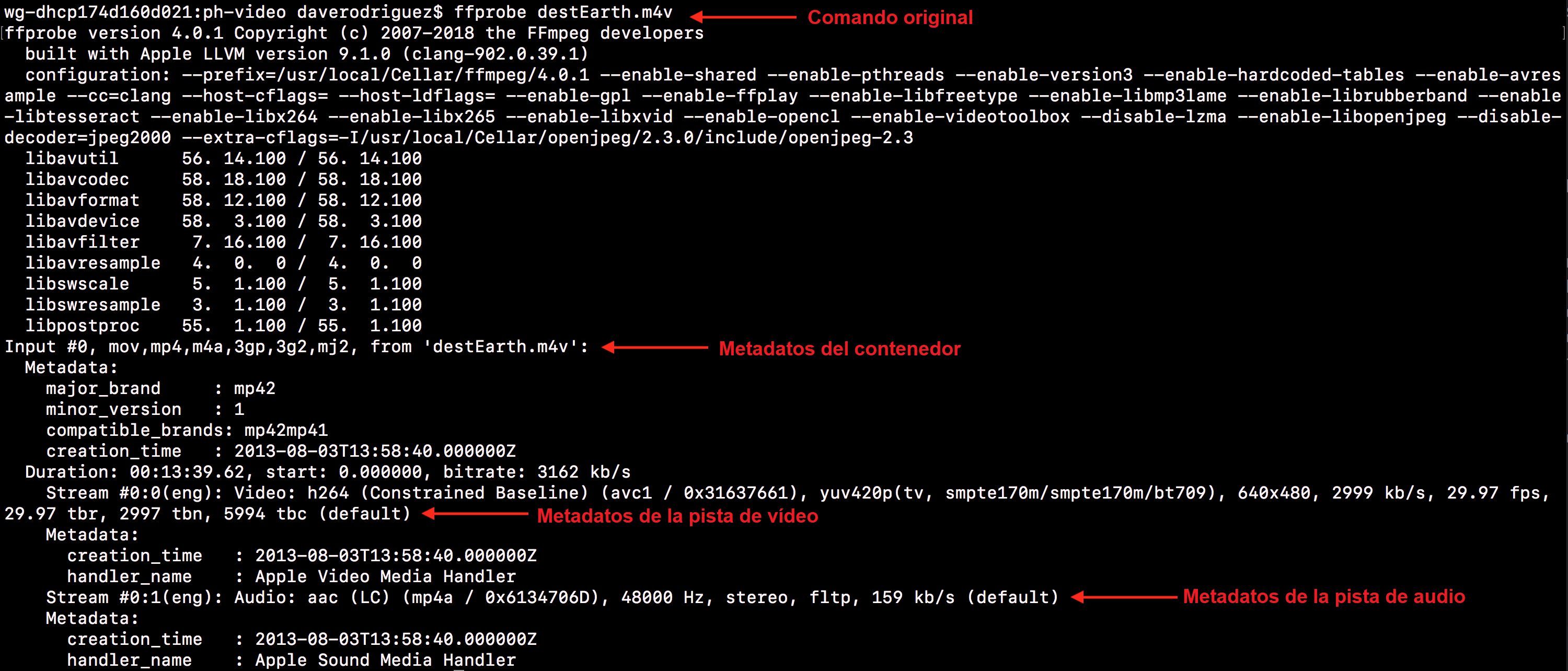 El output de un comando básico `ffprobe` con destEarth.m4v